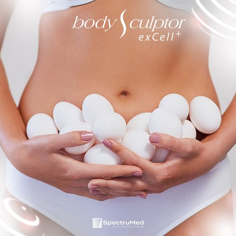 BodySculptor 8-Fertility